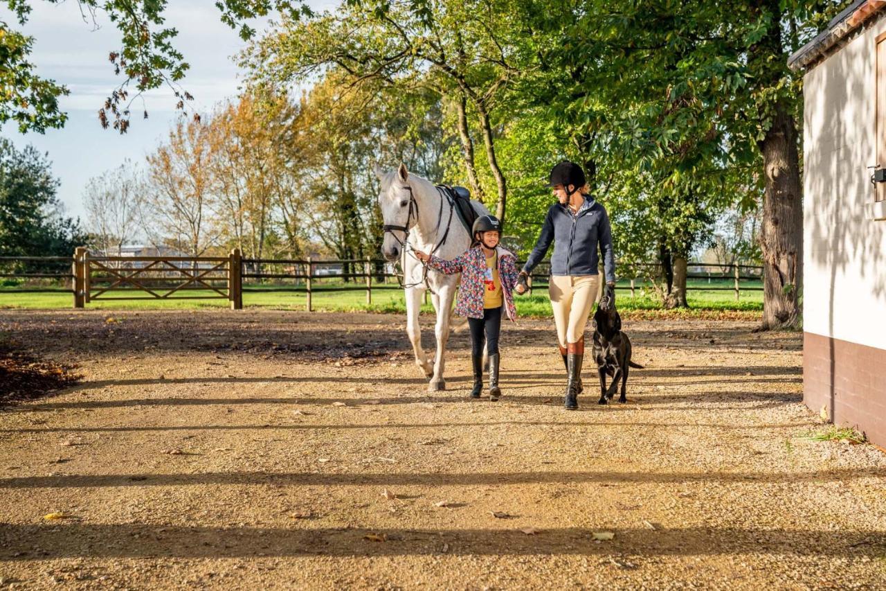 Equilodge 'T Blommeke - Reconnect With Nature Brugia Zewnętrze zdjęcie