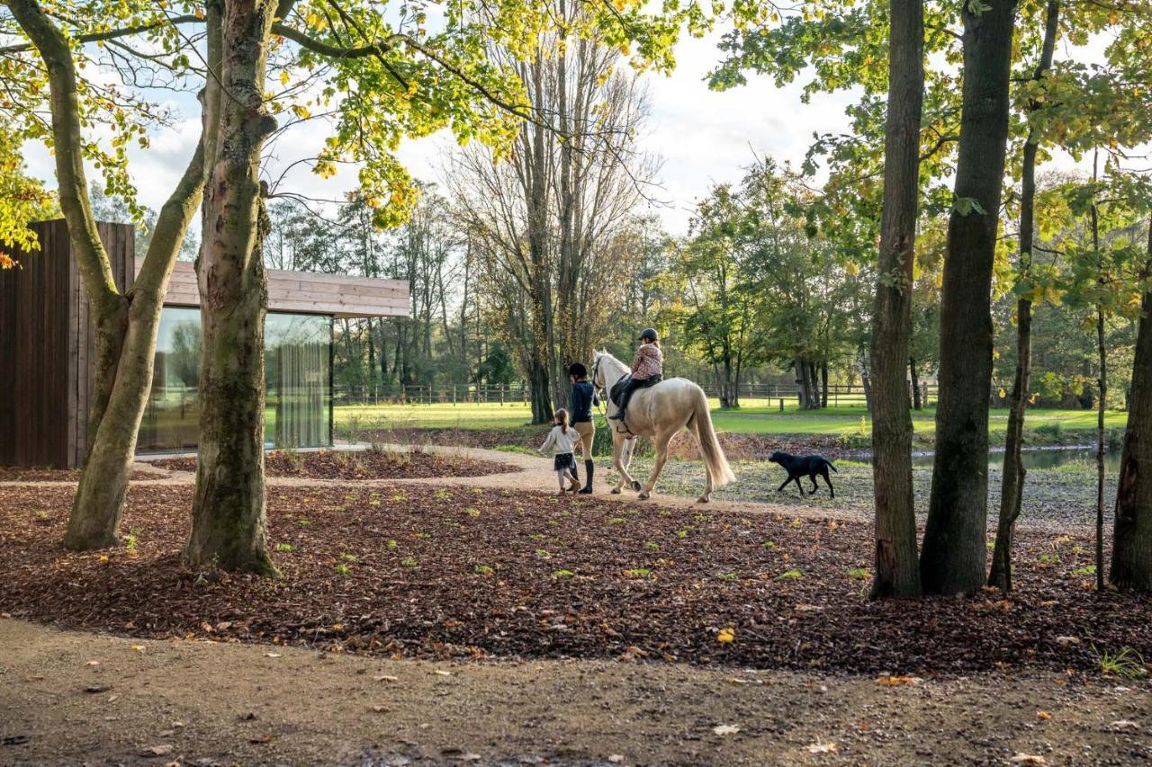 Equilodge 'T Blommeke - Reconnect With Nature Brugia Zewnętrze zdjęcie