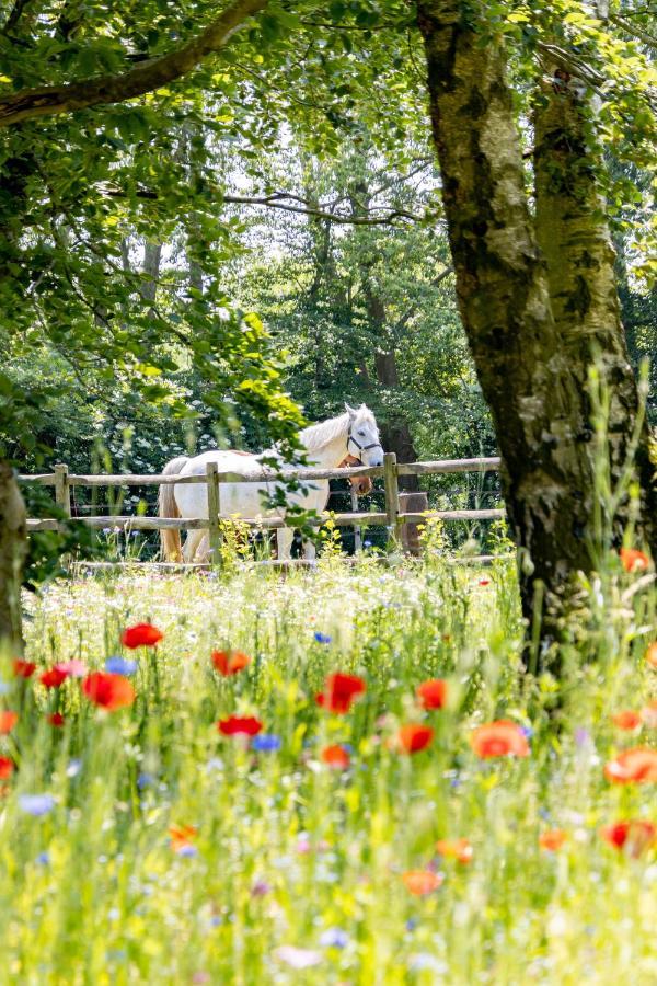 Equilodge 'T Blommeke - Reconnect With Nature Brugia Zewnętrze zdjęcie