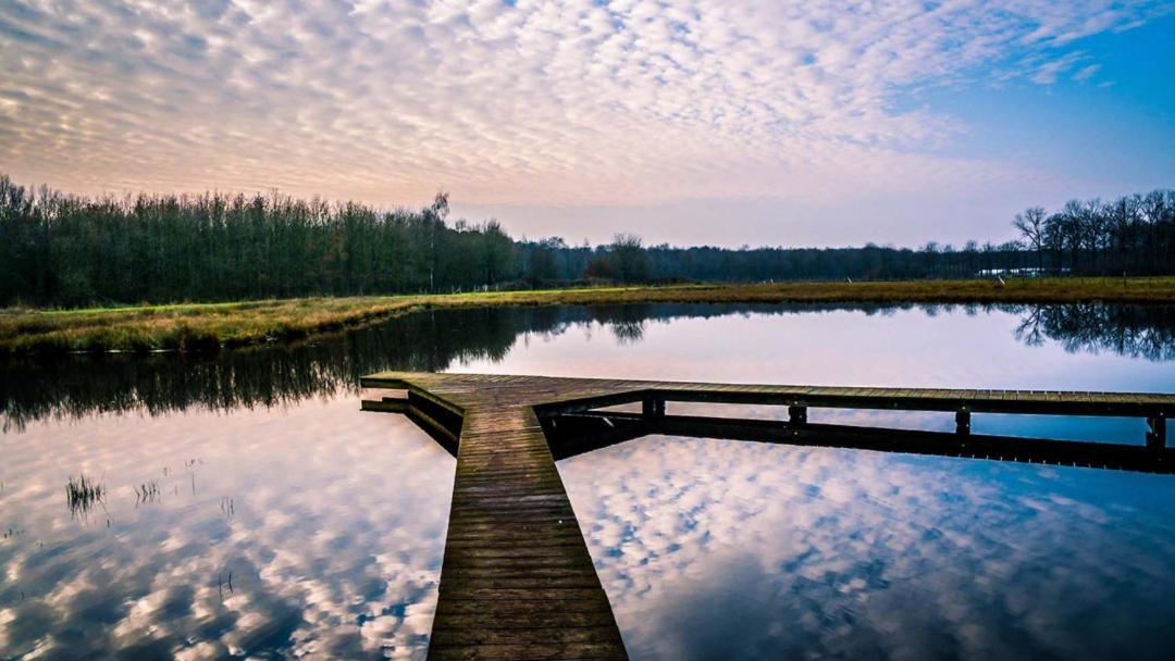 Equilodge 'T Blommeke - Reconnect With Nature Brugia Zewnętrze zdjęcie